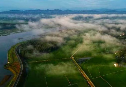 2023年裕安區(qū)高標準農(nóng)田建設(shè)蘇埠鎮(zhèn)片區(qū)